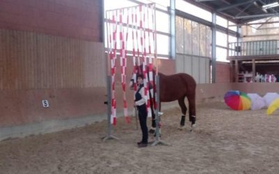 Pferdetraining mal anders!