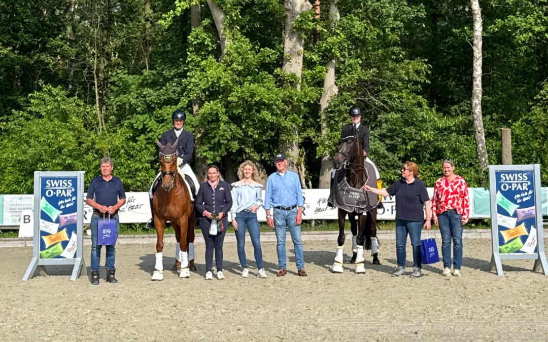 Dressur bis zum Kurz Grand Prix in Hellendorf
